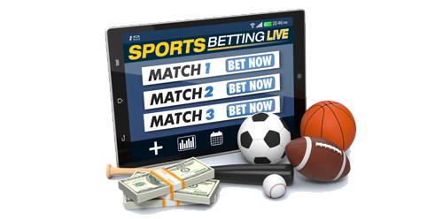 Online cricket id